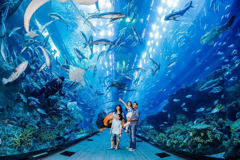 Viện Hải Dương học Nha Trang