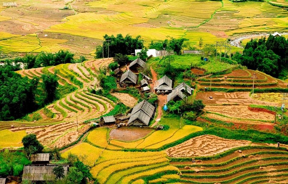 Thung lũng Mường Hoa nổi bật với những thửa ruộng bậc thang